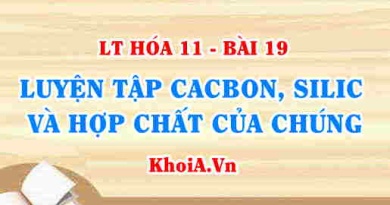 Luyện tập tính chất của Cacbon, Silic và hợp chất của Cacbon, Silic - Hóa 11 bài 19